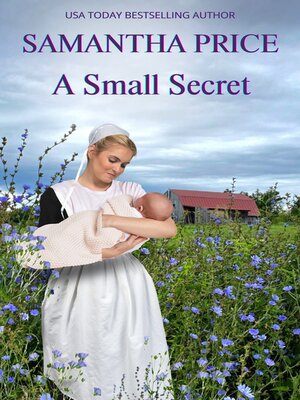 A Small Secret - ebook